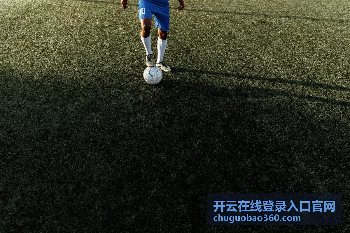 开云在线登录入口安全中心界面
