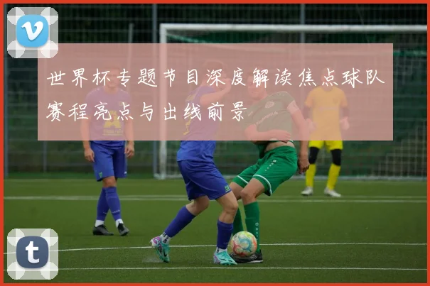 世界杯专题节目深度解读焦点球队赛程亮点与出线前景