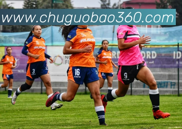 亚搏app登录入口品牌故事