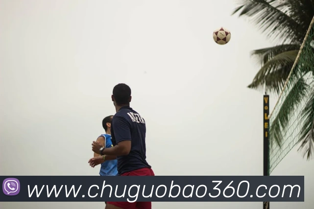 亚搏app登录入口服务体系